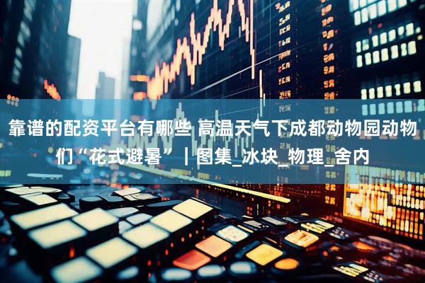 靠谱的配资平台有哪些 高温天气下成都动物园动物们“花式避暑”｜图集_冰块_物理_舍内